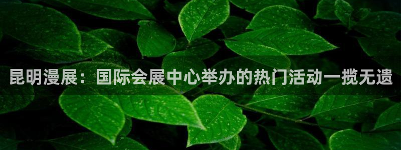 果博账号注册要钱吗：昆明漫展：国际会展中心举办的热门活动一揽无遗