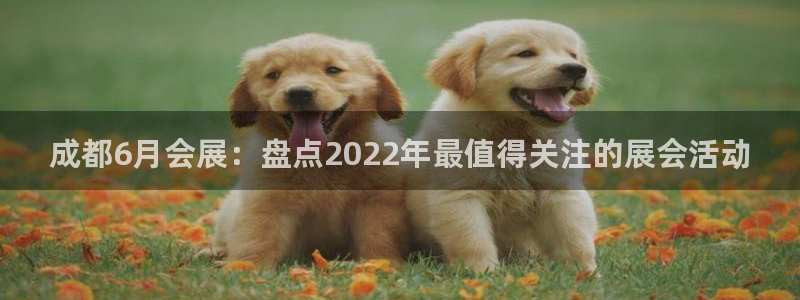 果博app官网下载：成都6月会展：盘点2022年最值得关注的展会活动